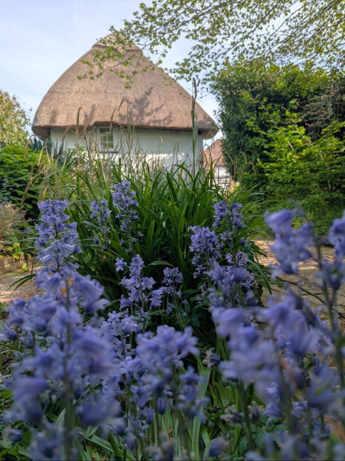 Beautiful Thatched Cottage With Outdoor Pool, Secure Garden, Dog & Family Friendly! Chichester Holiday Properties Bosham Exterior photo